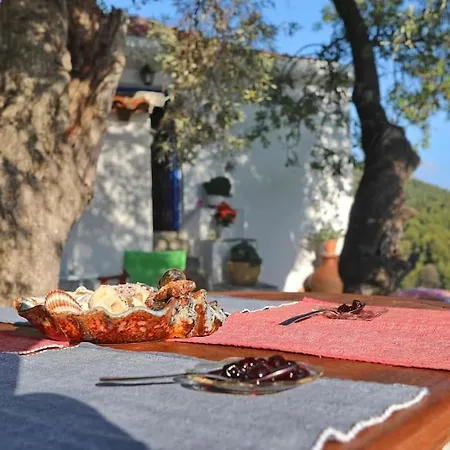 Holiday home Skopelos Mortero *
