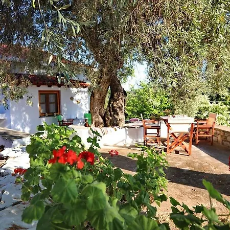 Skopelos Mortero *