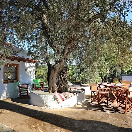Skopelos Mortero * Panormos (Skopelos)