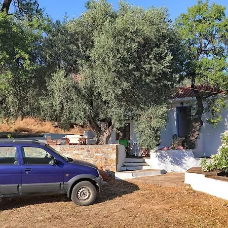 Skopelos Mortero * Panormos (Skopelos)